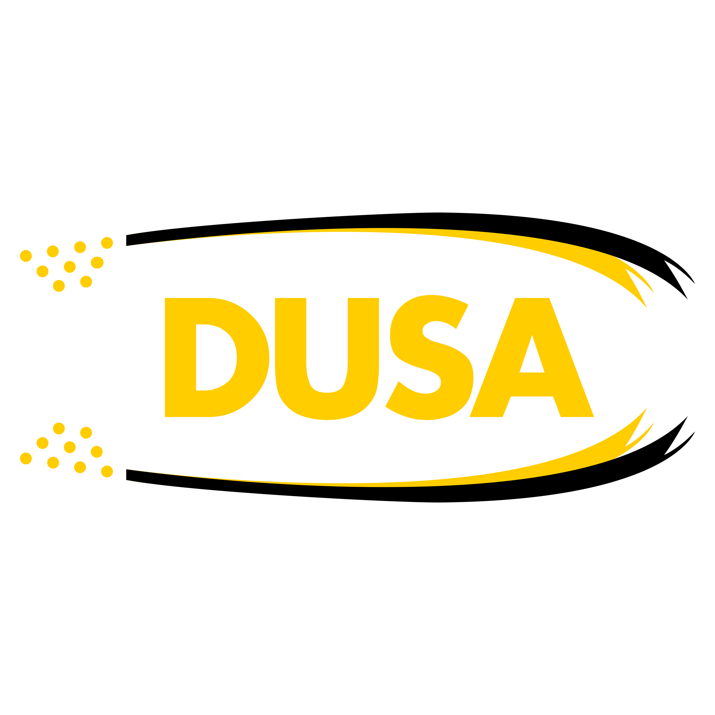 Dusa International