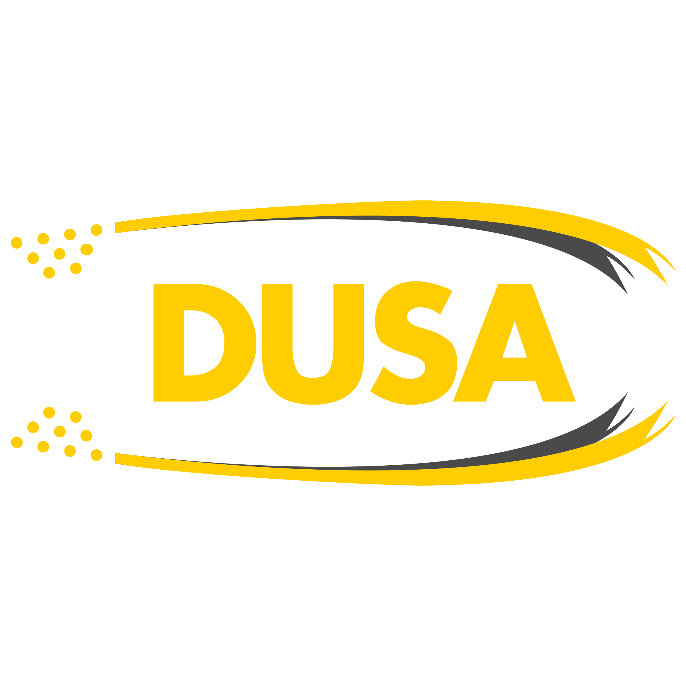 Dusa International